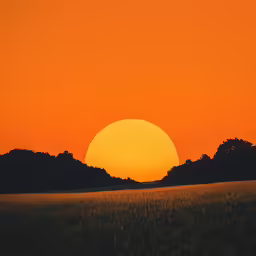 there is a bright sun setting behind a tree line