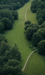 there is an aerial view of green trees