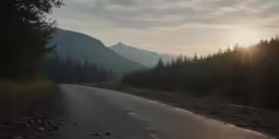 an empty road is in the middle of a pine forest