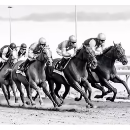 several horses racing in a track near each other