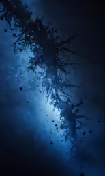 a view of the night sky with stars and trees