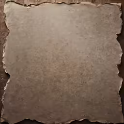 there is a piece of paper with torn edges