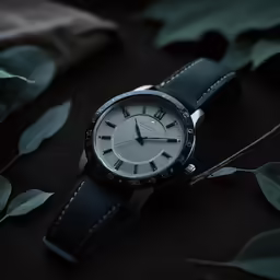 the black and white watch is sitting on some leaves