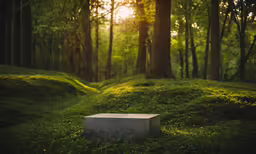the bench has grass on it in a forest