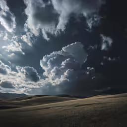 a grassy field with a sky filled with clouds