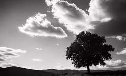 a tree is on a hill with a sky full of clouds