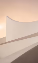 a building with very long wavy lines near the front