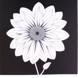 black and white photograph with a large flower,a drawing of a flower on black paper
