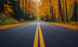 this is a road with a long yellow line going through it