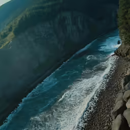 there is a bird sitting on the ledge overlooking a river