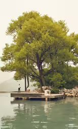 people sitting on a pier next to a tree and body of water