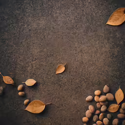 a bunch of leaves that are laying down