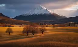 a field with trees and mountains in the background