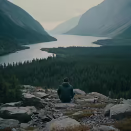 a man looking out over the wilderness from a overlook