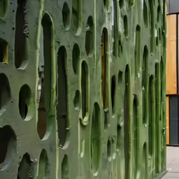 several holes are seen on the surface of a green structure