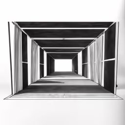 a black and white photo is of the walkway