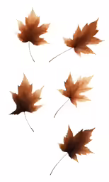 four brown leaves flying through the air