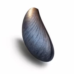 a large black vase sitting on top of a white surface