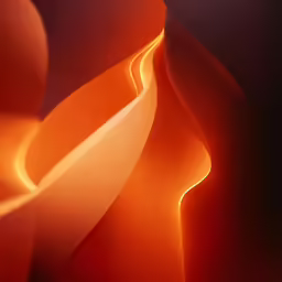 the colors of orange are very elegant in this photo