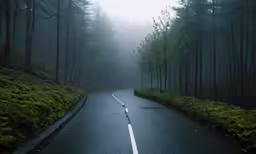 a scenic, winding road in the forest with green plants