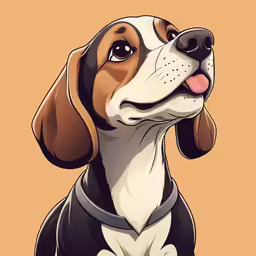 the dog looks up at something