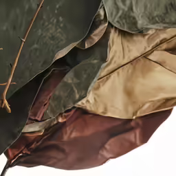 the leaves are blowing in the wind