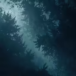 a dark blue image of bushes seen from the ground