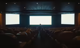 a man is sitting in a large theater watching the screen