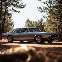 a car parked in the dirt beside some trees