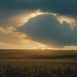 a horse stands in a field under an ornate, cloud - like sky
