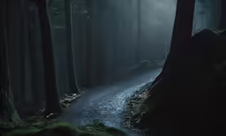 a winding, dark road in the middle of some woods