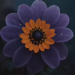 a close up view of a purple flower with orange center