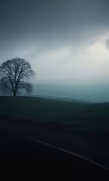 tree, fog and stormy sky over roadway on rural hilltop