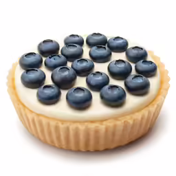 a blueberry pie that is made of pastry