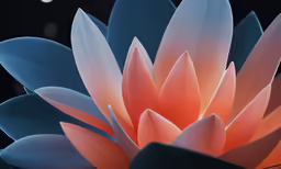 this lotus is blooming bright as the sun reflects in it