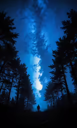 a couple in silhouette under the stars on a night sky