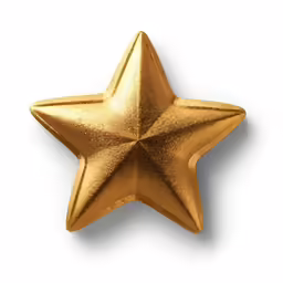 a gold star is hanging from the side
