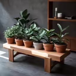 three different types of plants are sitting on a wooden bench