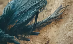 blue feathers blowing in the wind on sand