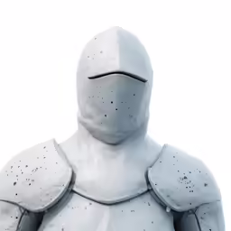 the armor worn by a human person is an uninspected image