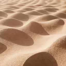 shadows from the sun cast on sand with curves