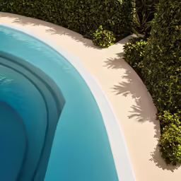 a view of a pool from above, with a green shrubbery in the background