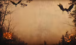 two birds flying above a forest with trees