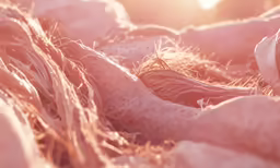 a closeup shot of hay in sunlight