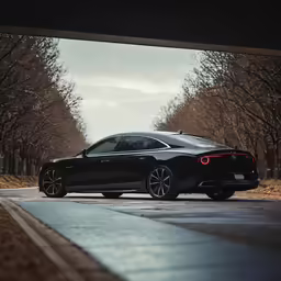 the sleek car sits on a wet road in front of trees
