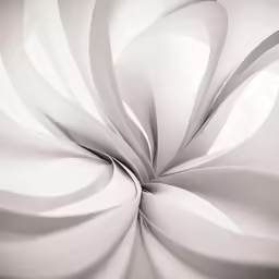 white flowers are being featured in a large circle