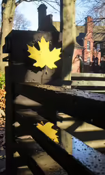 a wooden bench with two yellow leaves reflected in the wet water