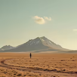 a lone person stands on a dirt road by a mountain