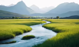 a creek is running through the middle of a field