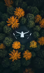 an aerial view of trees with a plane on a runway